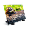Plaque funéraire plaque-funeraire-tortue 19 Plaquedeces.fr